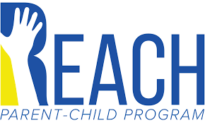 REACH或其他法規(guī)提交物的理化性質(zhì)測試